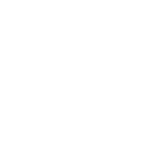 Q&A